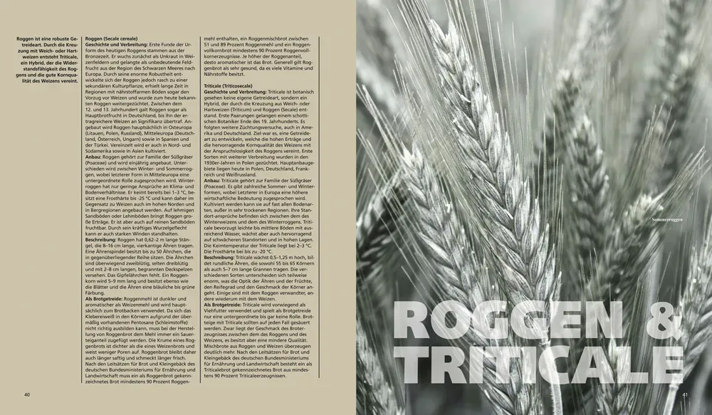 Jochen Gaues – Brot eBook – Bild 4