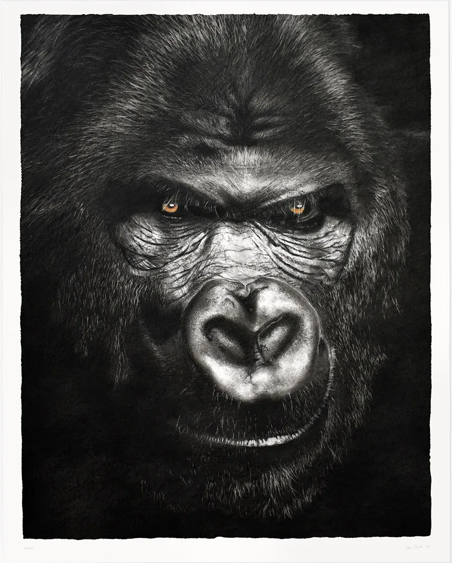 DAN PYLE | Intimidation