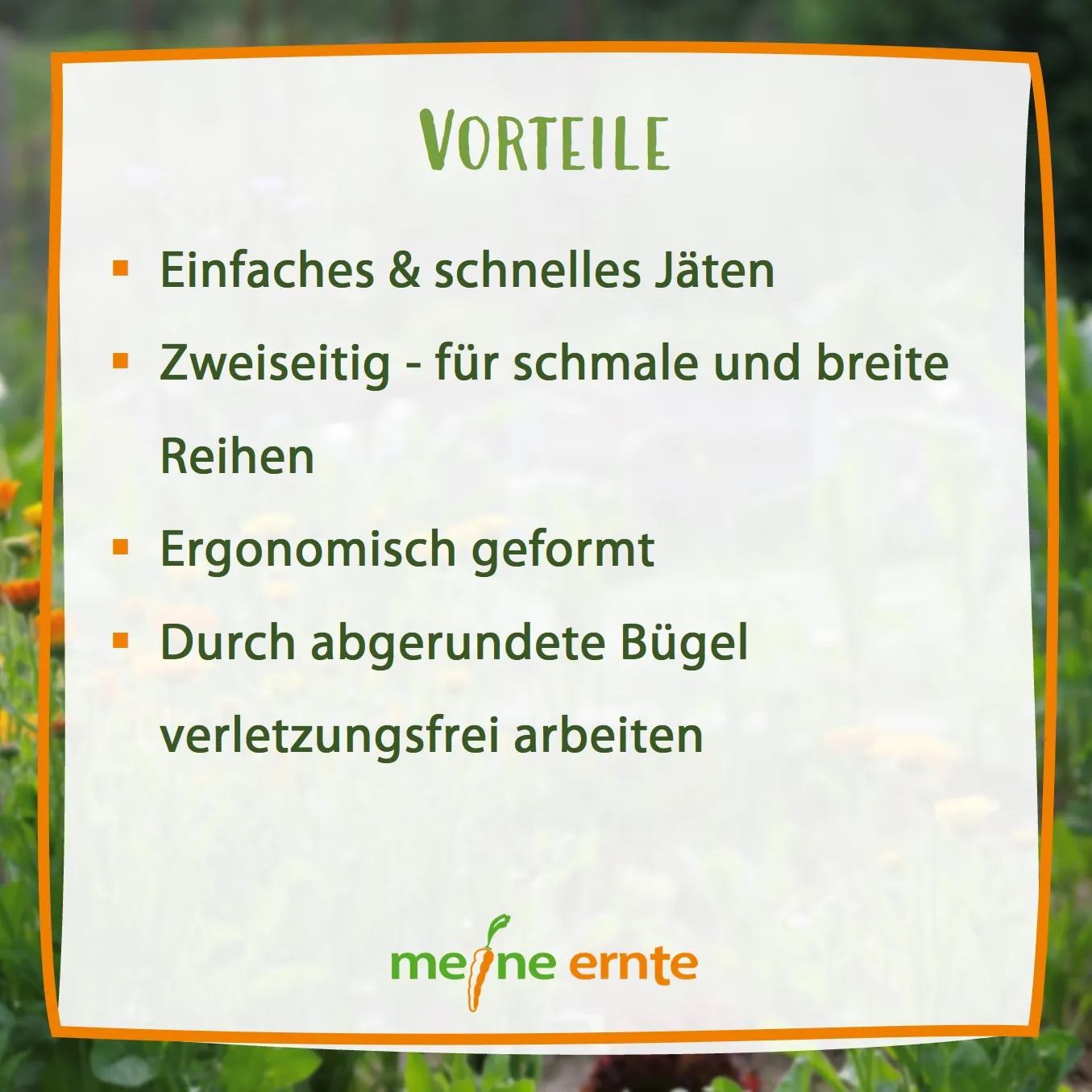 Jäteblitz gegen Unkraut meine ernte – Bild 8