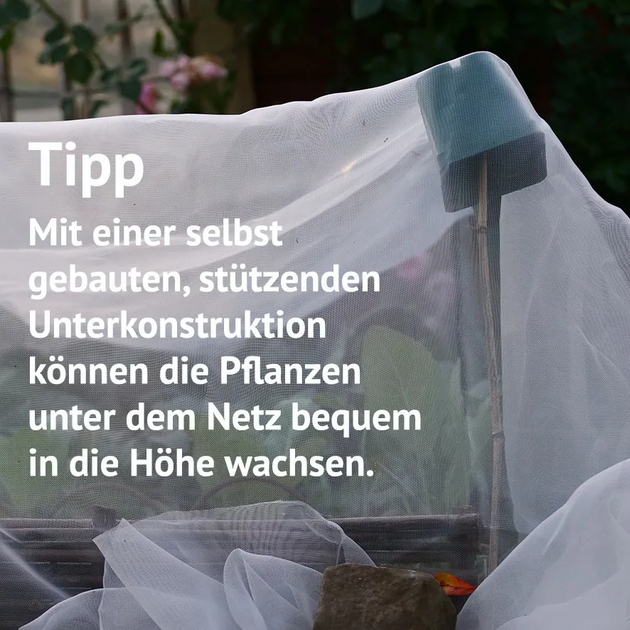 Kulturschutznetz 2,0×4,0 m meine ernte – Bild 6