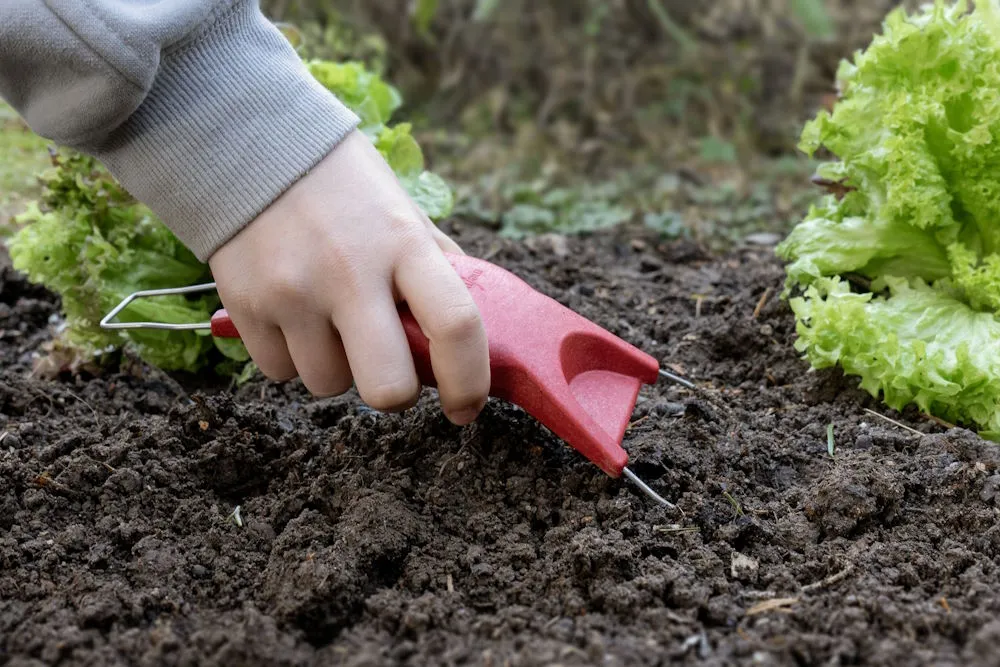 Jäteblitz gegen Unkraut meine ernte – Bild 3