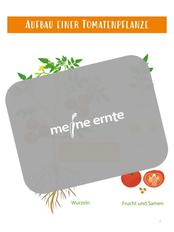 Digitales Buch „Tomaten erfolgreich anbauen“ 39 Seiten zum Download – Bild 5