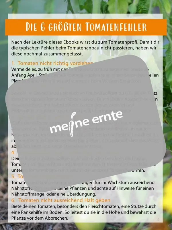 Digitales Buch „Tomaten erfolgreich anbauen“ 39 Seiten zum Download – Bild 7