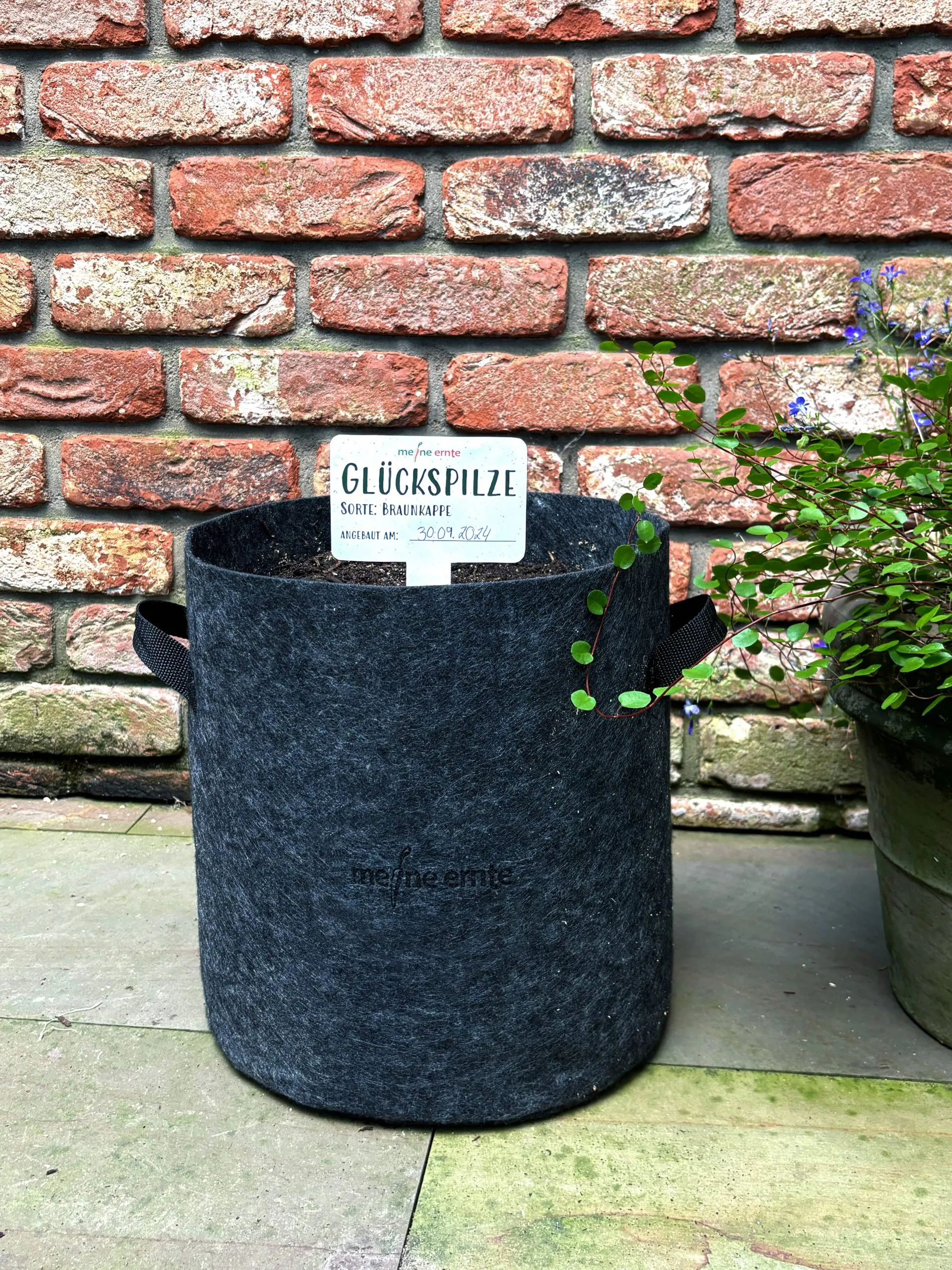 Pflanztaschen 2er-Set, 10, 20, 30 oder 40 Liter, Pflanzsack, Pflanzbeutel – Bild 5